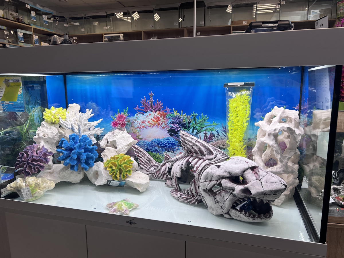 Фото аквариума от компании Золотая Рыбка