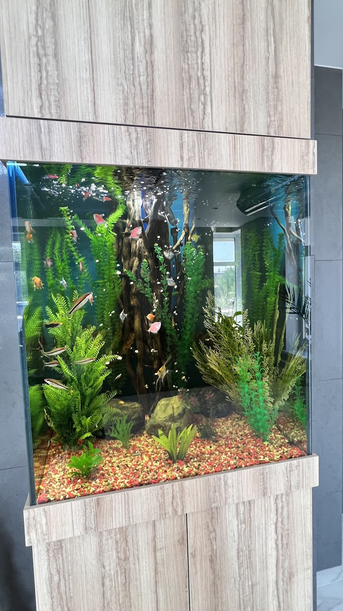 Аквариумы на заказ