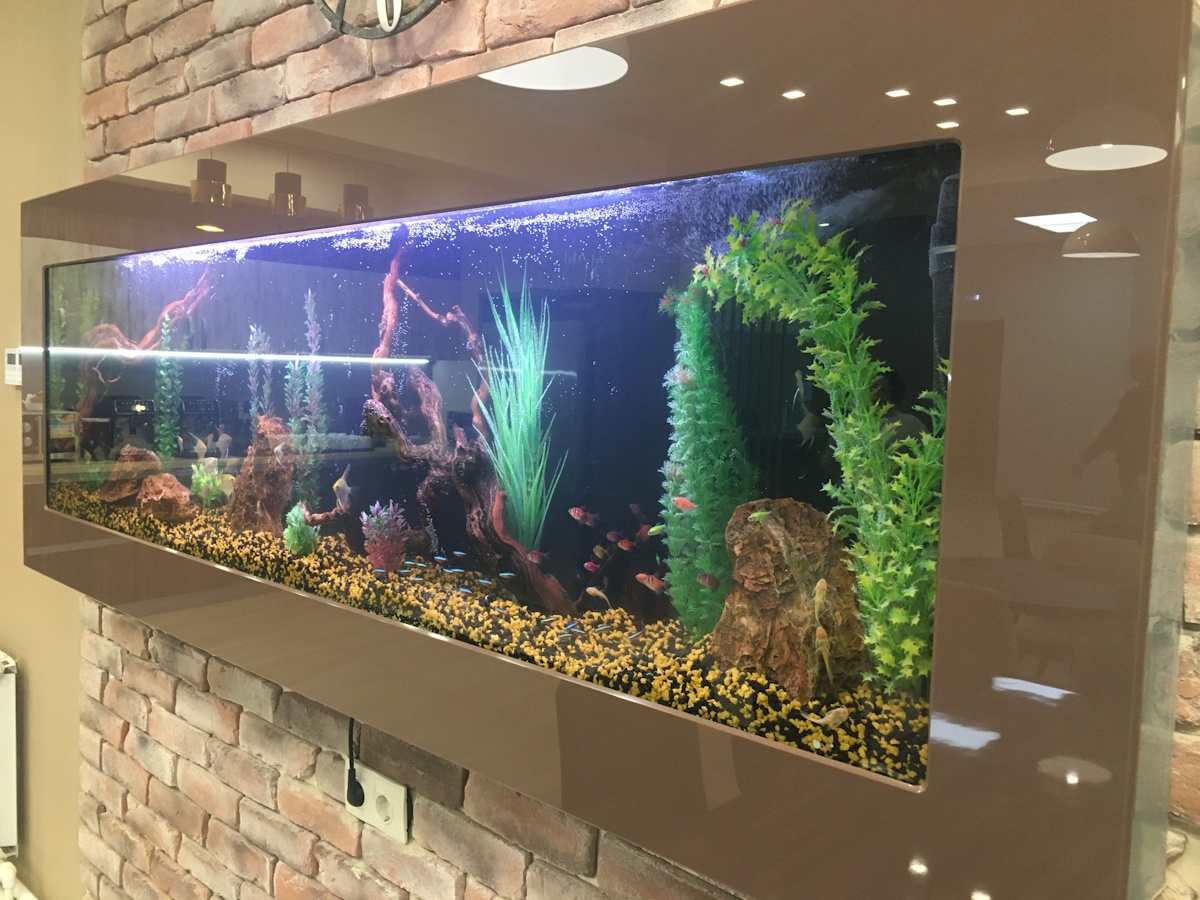 Производство аквариума по вашим размерам