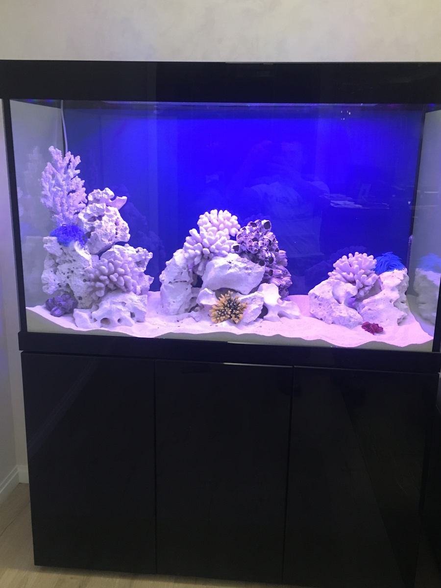 Фото аквариумов