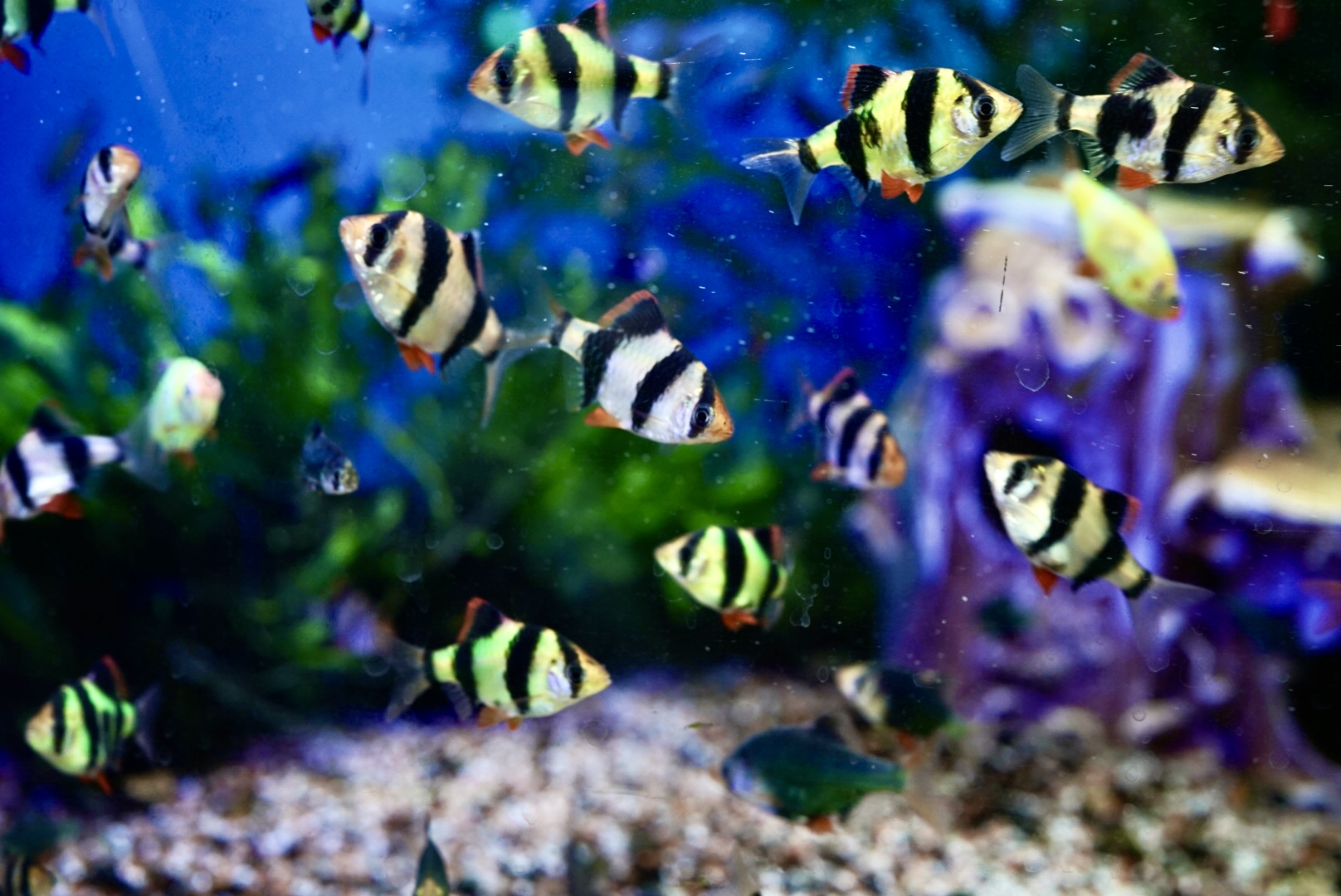 Afraid of zombies? Preparing for apocalypse? (Демо)